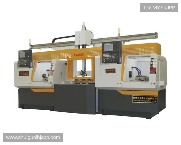 定制化游戏机老虎机厂家服务，打造专属品牌特色的高端娱乐设备