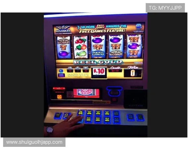 澳门乐透角子机玩家心得分享，学习高手经验提升游戏水平