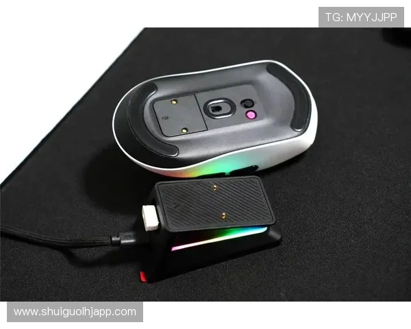 tg电竞鼠标驱动配置技巧详解助你定制个性化鼠标参数实现最佳操作体验