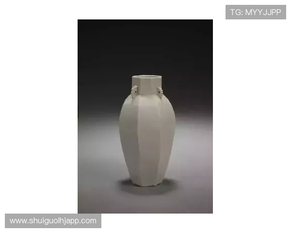 不同类型老虎机的线数设置及其对玩家策略的影响探讨