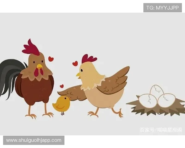 多福多财游戏规则详解，助你在游戏中实现财运与福气双丰收