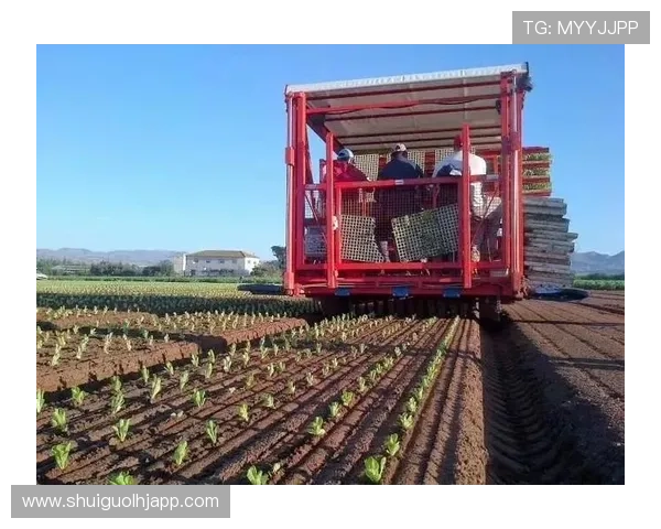 未来葡京新电子将如何推动绿色环保电子技术的持续进步 未来葡京新电子将如何推动绿色环保电子技术的持续进步