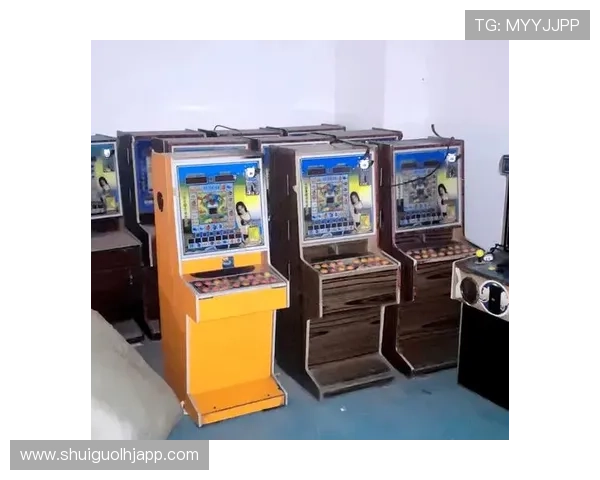 选择信誉良好的老虎机专卖网站，确保设备的正品保障和优质售后服务，避免后续使用中的各种问题