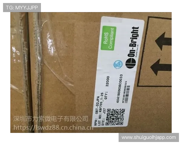 昂宝电子上市后业绩表现与市场反应,投资者应关注的关键财务指标分析 昂宝电子上市后业绩表现与市场反应,投资者应关注的关键财务指标分析