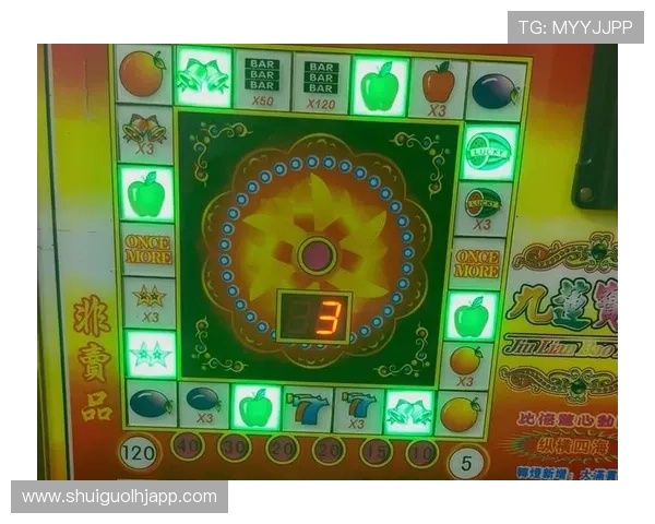 水果机单机游戏最新版本上线丰富奖励机制让你轻松赢取大奖